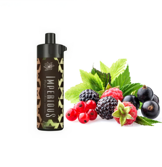 Vape Berry mint 50000