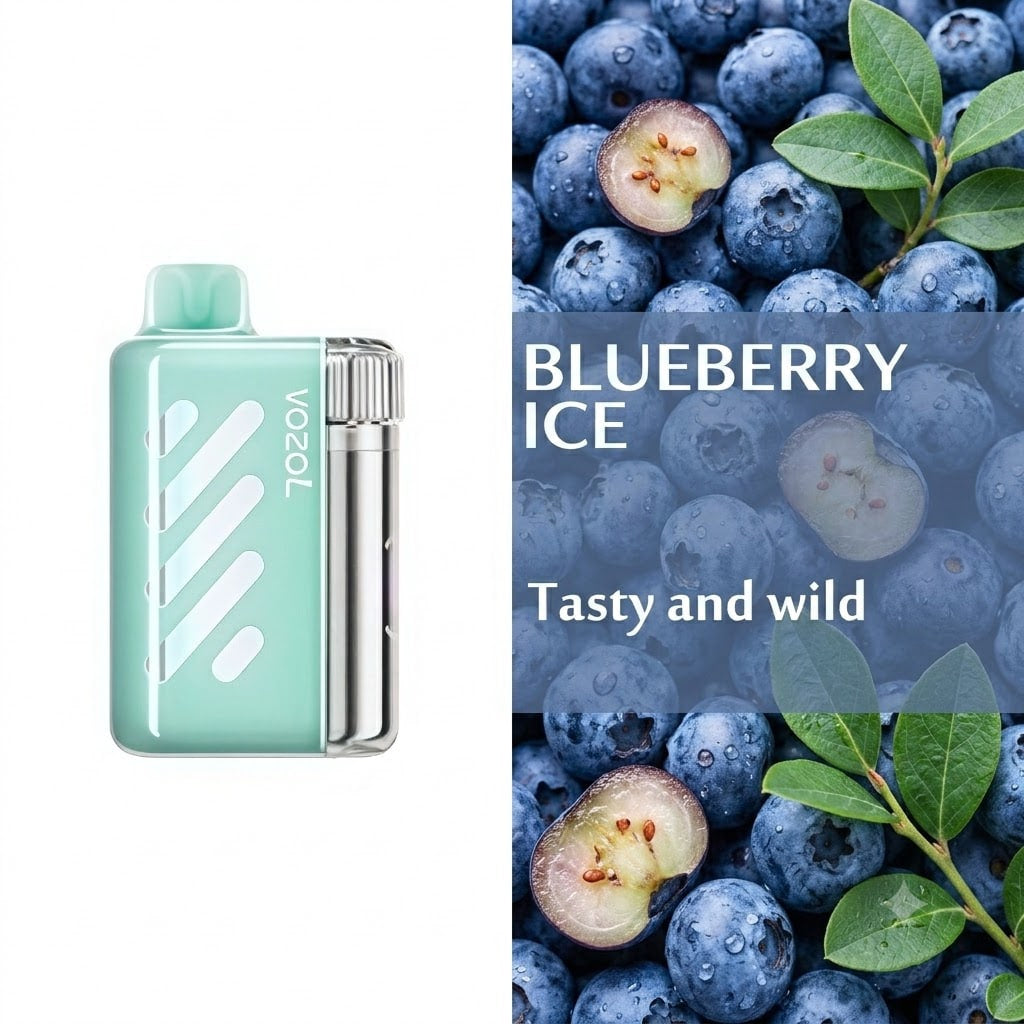 Blueberry ice 40000 puff 