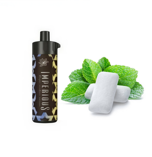 Hookah vape descartável 50000 puff  Gum mint