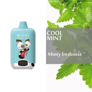 Cool Mint 15000 puffs