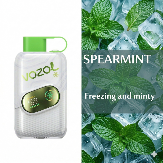 Vape Vozol Spearmint 50000 puff 