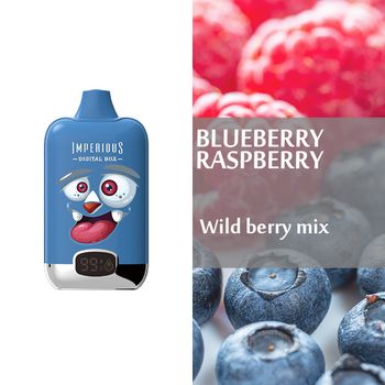 Blueberry Raspberry 15000 puffs